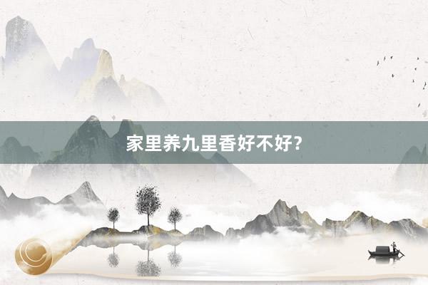 家里养九里香好不好？