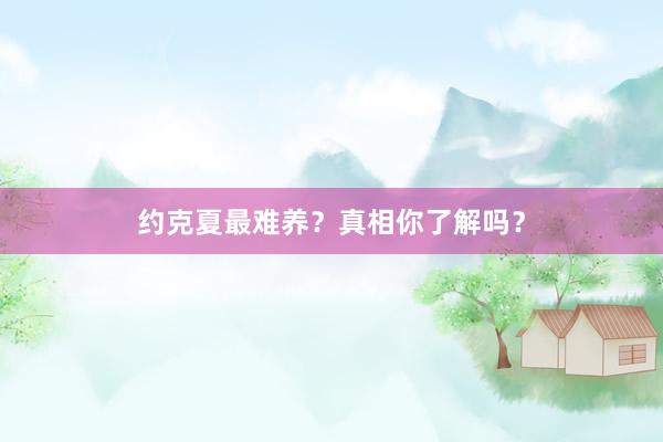 约克夏最难养?真相你了解吗?
