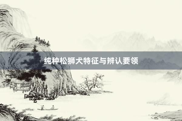 纯种松狮犬特征与辨认要领