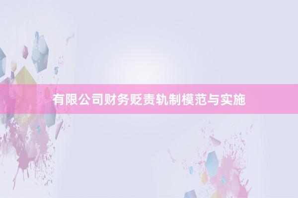 有限公司财务贬责轨制模范与实施