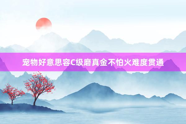 宠物好意思容C级磨真金不怕火难度贯通